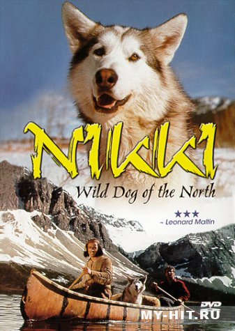"Дикий пес Севера" (1961) - Нажміть щоб переглянути онлайн
